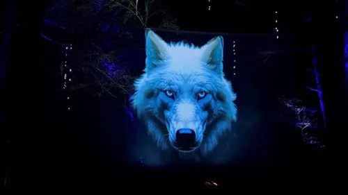 Idée de sortie : Le parc animalier de Sainte-Croix est rouvert !