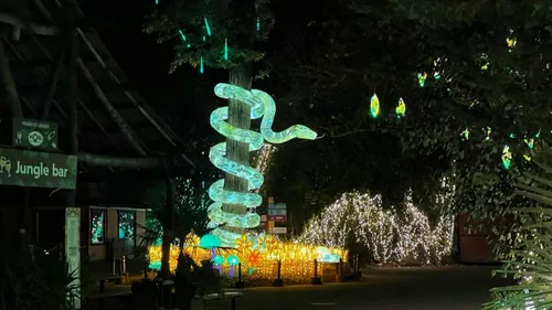 Zoo d'Amnéville : Beaucoup de monde pour cette première de...