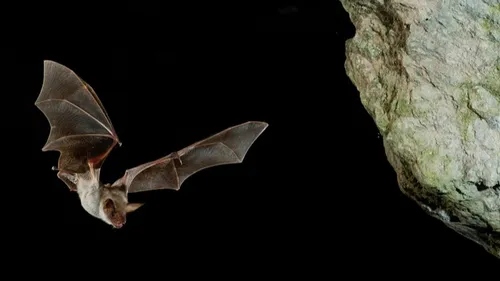 Budget participatif 2025 : les Bordelais ont tranché !