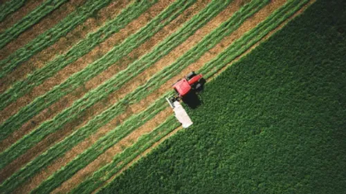 Le gouvernement annonce des soutiens financiers pour aider les...