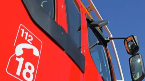 Un chien piégé dans une mine a finalement été secouru