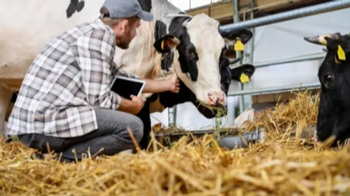 Colmar : la Confédération paysanne troque une voiture contre du bétail