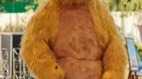 Los Angeles : des fraudeurs à l'assurance se déguisent en ours