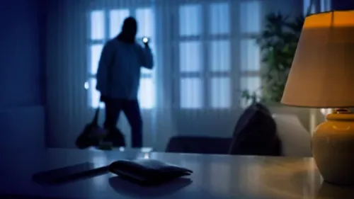 Condamnés à des peines de prison ferme, les cambrioleurs...