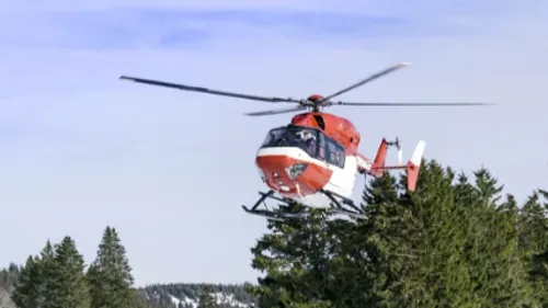 Une randonneuse et ses trois chiens secourus par hélitreuillage