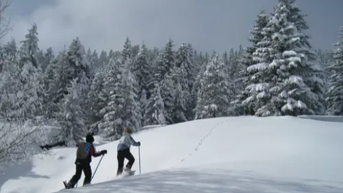 Randonnées gastronomiques de jour et de nuit en raquettes