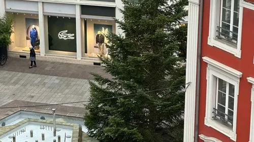 Le sapin de Noël de Mulhouse a été installé aujourd'hui ! 