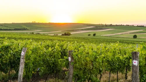 Les 4 infos du jeudi 2 mai