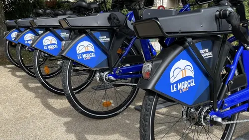 Le petit "Marcel" ne cesse de grandir