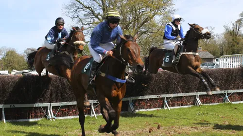 Les pronostics hippiques de Sébastien Mortagne :Mardi 3 Octobre