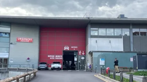 Une femme décède du virus de la rage au chu de Reims: le corps...