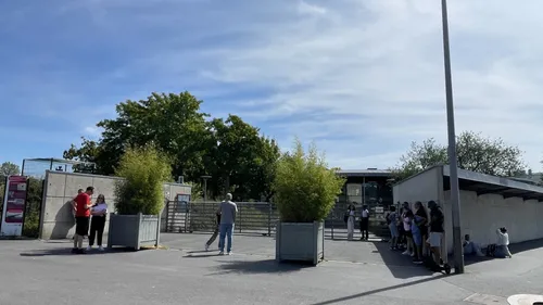 Certains élèves ont déjà repris le chemin de l'école !