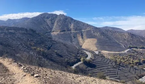 Sécheresse: la présidente des Pyrénées-Orientales alerte face au...