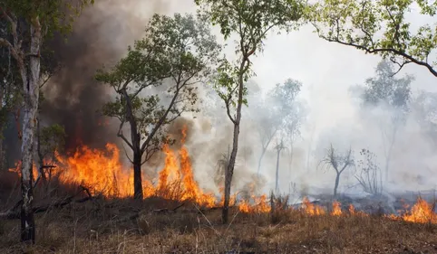 Hérault. Deux incendies se déclarent près de Gignac, 600 hectares...