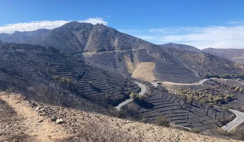 "On dirait qu'on est sur la planète Mars" : le triste paysage à...