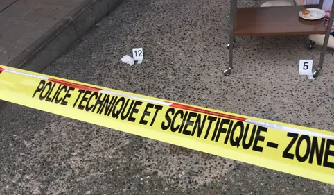 L'auteur du double homicide de Lapeyrouse-Fossat : un schizophrène...