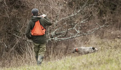 Accident de chasse à Montauban : un homme gravement blessé 