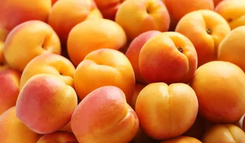 Claira : opération coup de poing des arboriculteurs