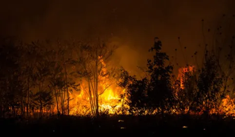 Saint-Pons-de-Mauchiens : Incendie géant