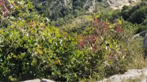 Lozère: un cycliste de 77 ans retrouvé sain et sauf après trois...