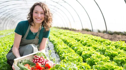 SOLAAL de la ferme à l'assiette, sans gaspillage