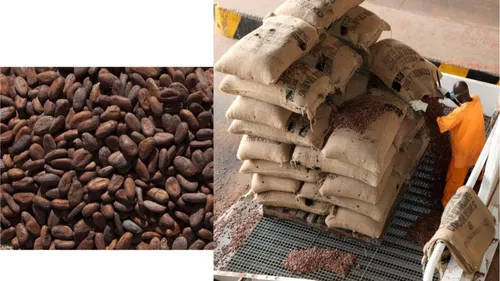 CÉMOI, l'Entreprise Perpignanaise, Ouvre une Nouvelle Voie Maritime...