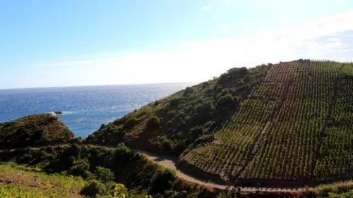 Pyrénées-Orientales : une école de sommellerie ouvre ses portes dès...