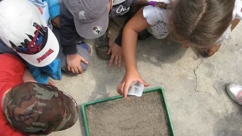 Nature en jeux : 74 jeux en ligne gratuits pour apprendre et...