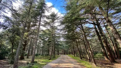 Vaucluse : 5 balades familiales à faire pendant l’automne