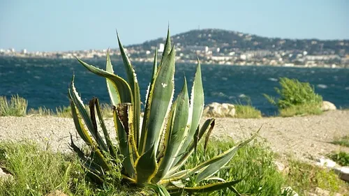 Météo du week-end : le temps estival se poursuit près de la...