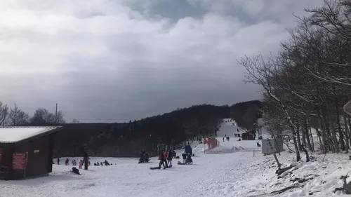 Neige : Alti Aigoual ouvre partiellement ses pistes ce week-end