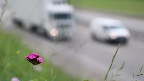 La crise sanitaire a entraîné une baisse des émissions polluantes...