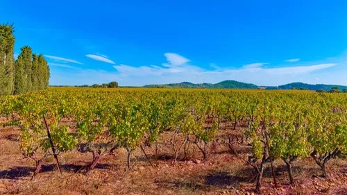 Météo du week-end : le soleil au rendez-vous près de la Méditerranée