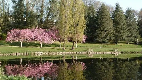 Découverte macabre à Gourin : le corps d’un homme retrouvé dans un...