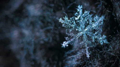 Pyrénées-Orientales : alerte orange neige-verglas, couplée à de...