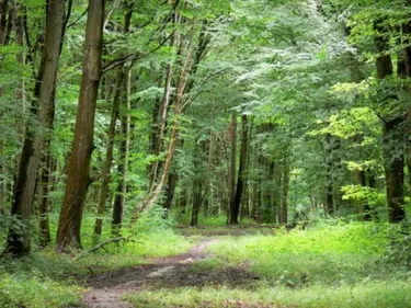 La femme enceinte tuée dans l'Aisne a été attaquée par plusieurs...