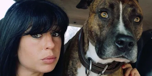 Mort d’Élisa Pilarski : son compagnon veut engager un avocat pour...