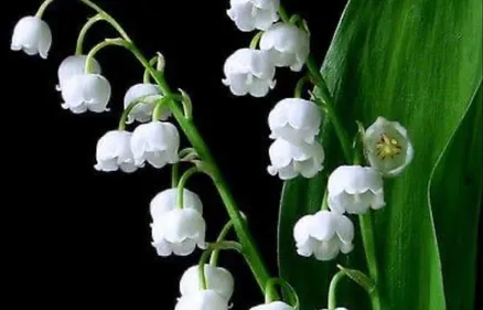 FETE DU TRAVAIL : L'ONU rend hommage aux travailleurs essentiels...