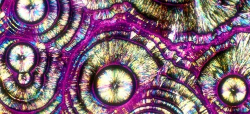 La Corée du Nord vous promet l'alcool sans langue de bois !!