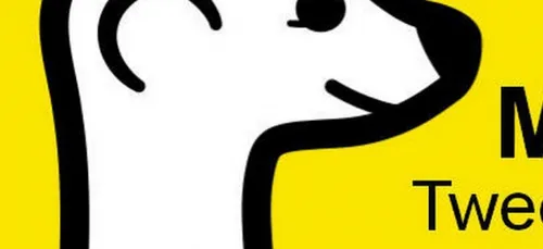 "Meerkat", l'Instagram des vidéos en direct pris en tenaille entre...