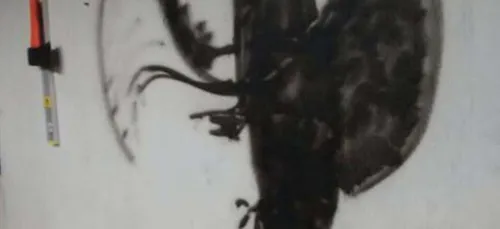 Illusion : Une personne sur 100 voit du premier coup d'oeil de quoi...