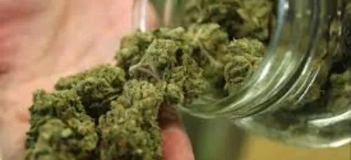 Marijuana : Voici une très mauvaise nouvelle pour les ados qui en...
