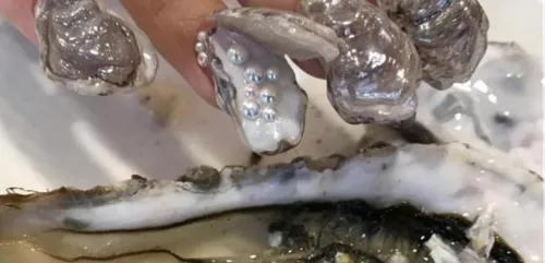 Nail Art: découvrez les nouvelles tendances improbables de l'été...