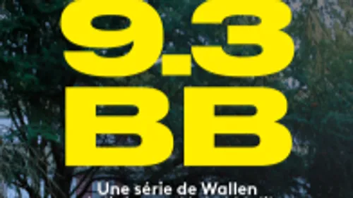 9.3 BB :  Le titre d’une chanson de rap pour une odyssée poétique...