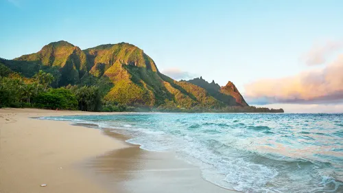 Il fait sa demande à HawaÏ... sa réponse choque tout le monde