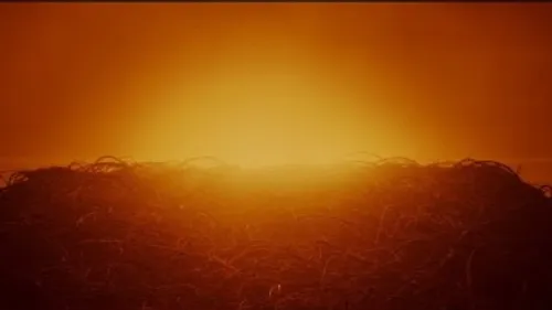 Swedish House Mafia – Lifetime (feat. Ty Dolla $ign, 070 Shake)