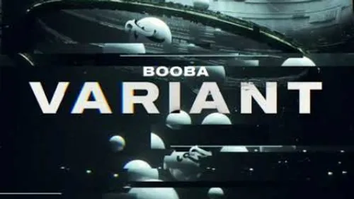 Booba - Variant (Audio)