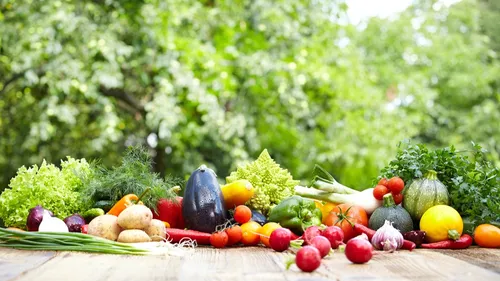 La France face au choix de l'autosuffisance alimentaire ou de...