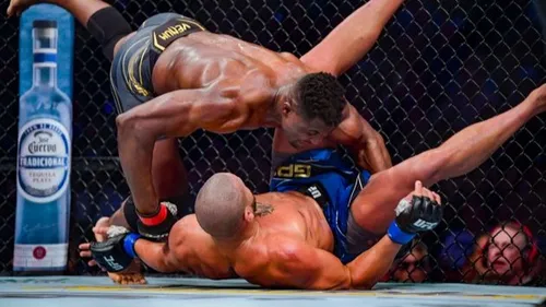 La France, plaque tournante du MMA ?