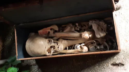 Scandale en Floride : Vente d'ossements humains sur Facebook 